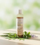 DBR Cosmetics Organic Extract Shampoo – Sulfate & Paraben Free with Argan Oil & Gooseberry (120ml) | For Normal to Dry Hair